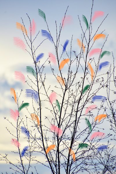 Branches printanières colorées - Christina Sillen