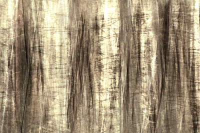 Les lignes de la forêt enchantée - Christina Sillen