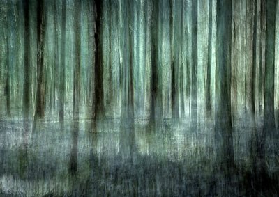 Flou de la forêt éthérée - Christina Sillen