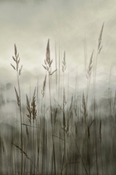  - Christina Sillen