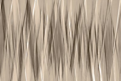 Lignes fluides et neutres - Christina Sillen