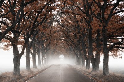 Un tunnel d