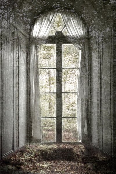 La fenêtre de la forêt oubliée - Christina Sillen