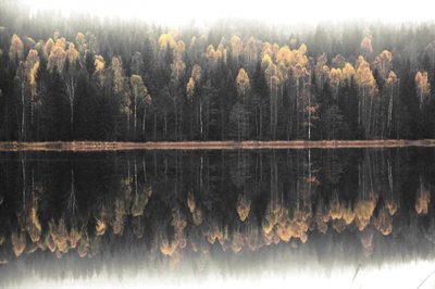 Reflet automnal brumeux - Christina Sillen