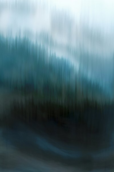 Forêt bleue brumeuse - Christina Sillen