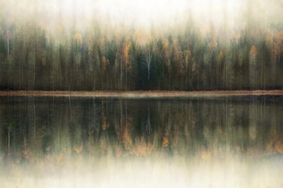 Reflet dans la forêt brumeuse - Christina Sillen