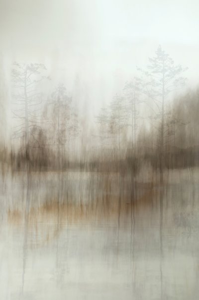 Reflets dans la forêt brumeuse - Christina Sillen