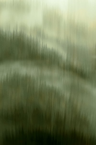 La sérénité de la forêt brumeuse - Christina Sillen