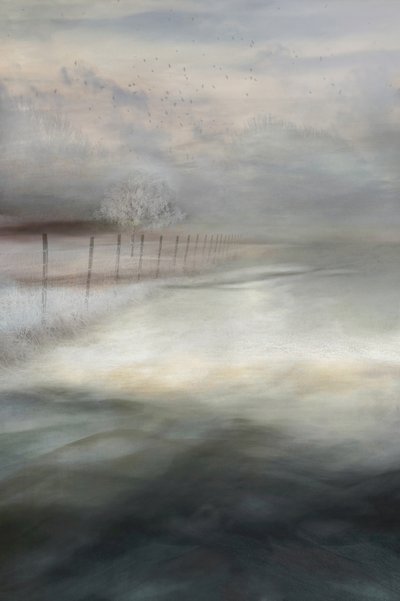  - Christina Sillen