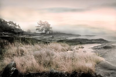  - Christina Sillen
