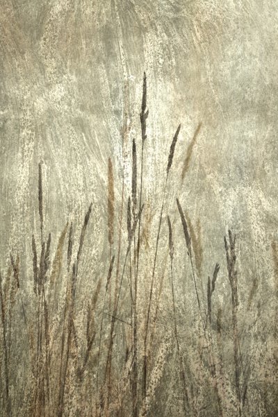  - Christina Sillen
