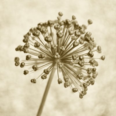Sphère d