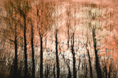  - Christina Sillen
