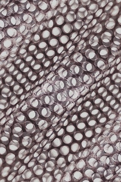 Motif circulaire chatoyant - Christina Sillen