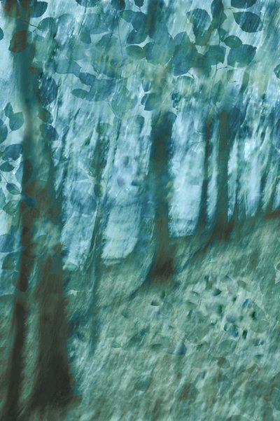 Forêt bleu-vert tendre - Christina Sillen