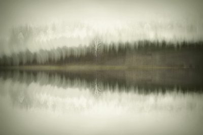  - Christina Sillen