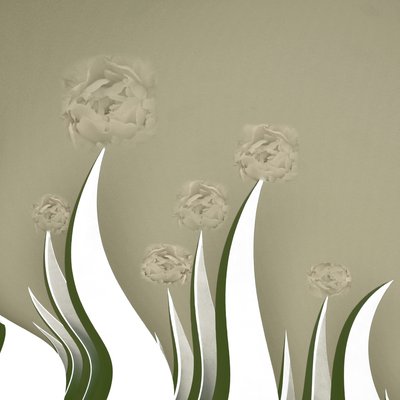 Fleurs crème délicates - Christina Sillen