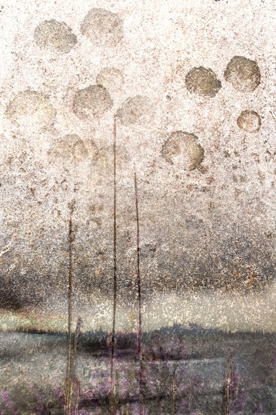 Roseaux du lac texturés - Christina Sillen