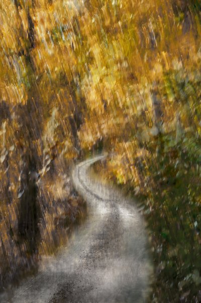 Sentier sinueux d