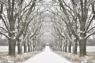 Une route bordée d