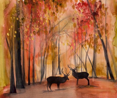 Cerfs de la forêt d