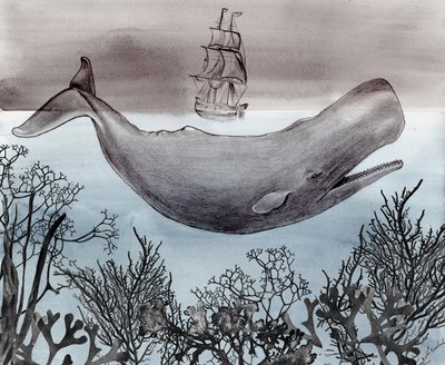 Navire de recherche sur les baleines en haute mer - Christine Lindstrom