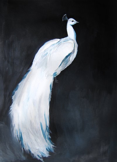Élégant paon blanc - Christine Lindstrom