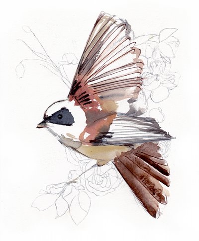 Oiseau aquarellé en plein vol - Christine Lindstrom