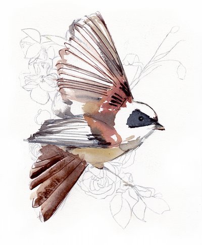 Oiseau aquarellé en plein vol - Christine Lindstrom