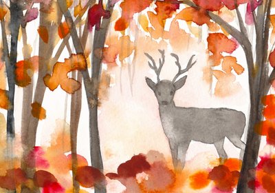 Un cerf dans la brume d