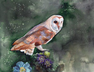 Chouette effraie nocturne - Christine Lindstrom
