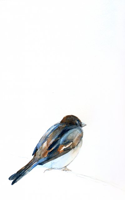 Aquarelle représentant un moineau perché - Christine Lindstrom