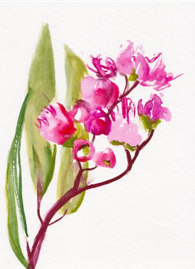 Fleurs roses éclatantes - Christine Lindstrom