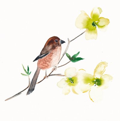 Oiseaux et fleurs à l
