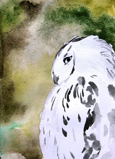 Aquarelle : Chouette des neiges - Christine Lindstrom