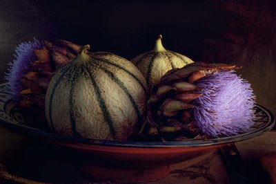 Melons et chardons violets - Christine SUISSIA