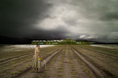 Le jardinier solitaire : Stormy Field - Christine von Diepenbroek