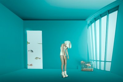 mise en cage - Christine von Diepenbroek