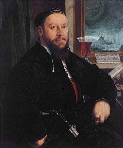 Portrait de Matthäus Schwarz - Christoph Amberger