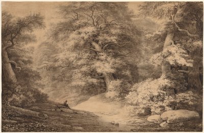 Bois de hêtres avec un voyageur se reposant - Christoph Nathe