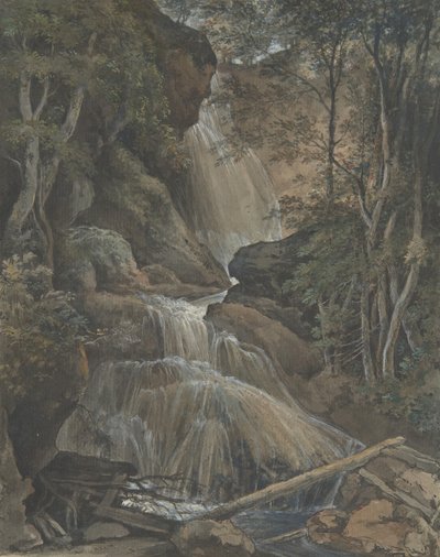 Cascade dans une forêt à Langhennersdorf, 18e-début 19e siècle - Christoph Nathe