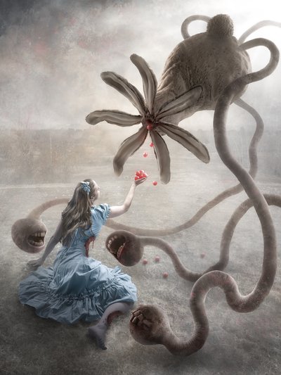 Le Pays des Merveilles macabre - Christophe Kiciak