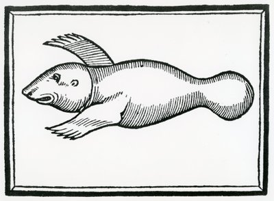 Un poisson appelé 
