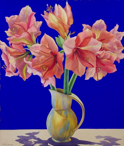 Amaryllis dans un pichet, 2007 - Christopher Ryland