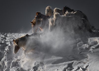  - Chuanxu Ren