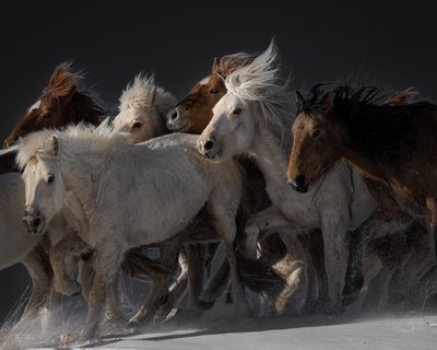  - Chuanxu Ren