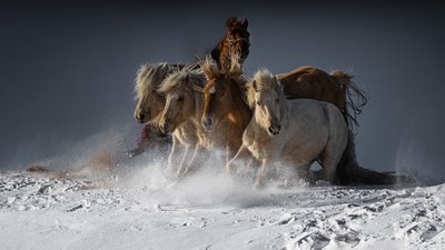  - Chuanxu Ren