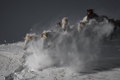  - Chuanxu Ren