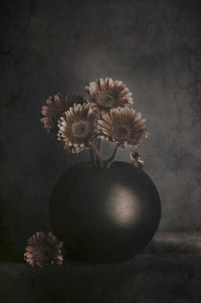  - Cicek Kiral