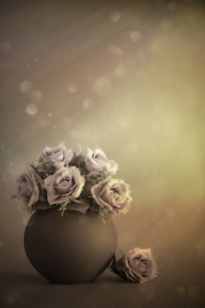  - Cicek Kiral